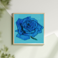 Blue rose