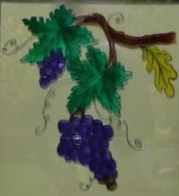 Grape vine